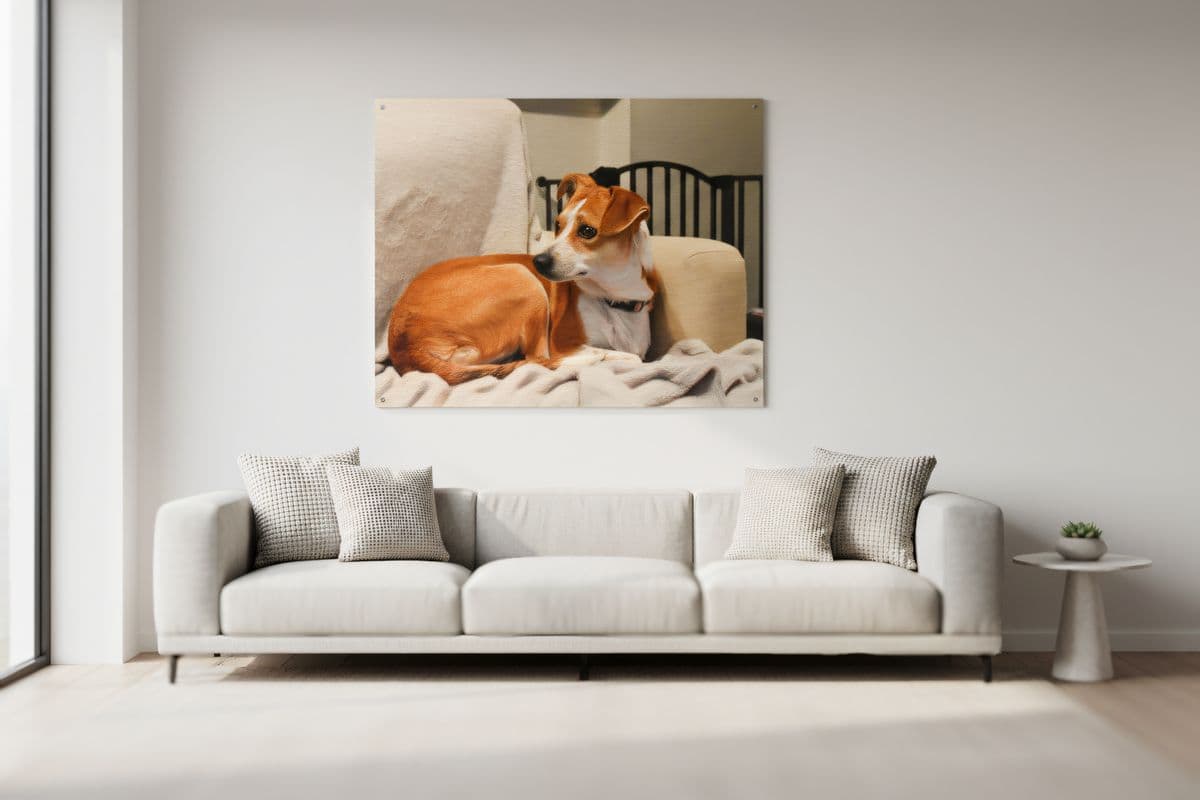 Portrait in Room